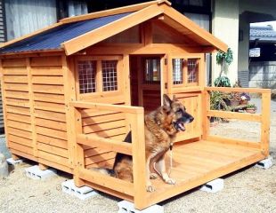 犬小屋製作工房k 手作りのオーダーメイドな犬小屋 製作 販売中 犬小屋のことは オレに任せろ 犬小屋製作工房k 手作りのオーダーメイドな犬小屋 製作 販売中 犬小屋のことは オレに任せろ